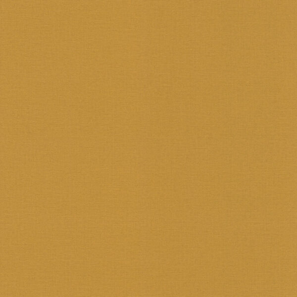 LES UNIS VINYLE SUR INTISSE  452075