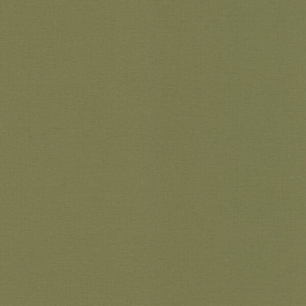 LES UNIS VINYLE SUR INTISSE  452068