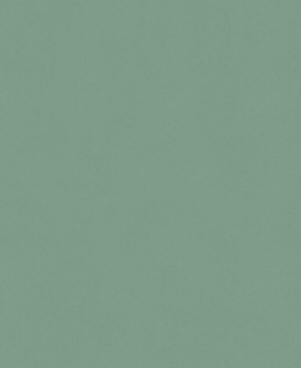 LES UNIS VINYLE GRAINE SUR INTISSE  6342-3