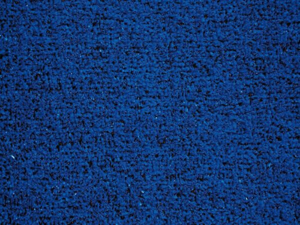 GAZON23001 6MM 2M SPRING BLEU