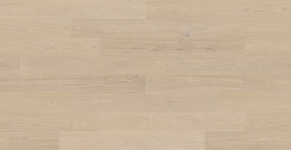 PARQUET WOOD DENSITY BECET CHENE  POUDRE