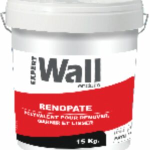 RENOPATE 15KG SEAU EXPERT WALL