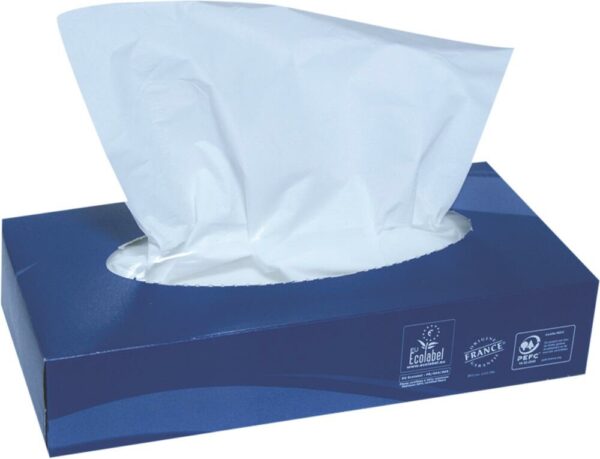 MOUCHOIRS BLANCS 2 PLIS 100 FEUILLES CARTONS DE 40