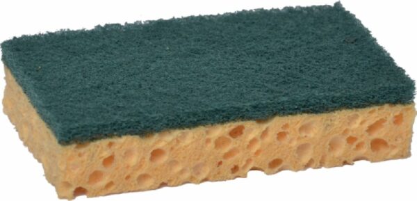 EPONGE RECURAGE 52 VERT BLONDE LOT 10 110x70x28MM