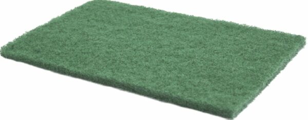 TAMPON RECURANT VERT 22 X 15 CM LOT DE 1 TAMP00059