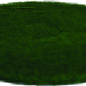 Disque vert récurage