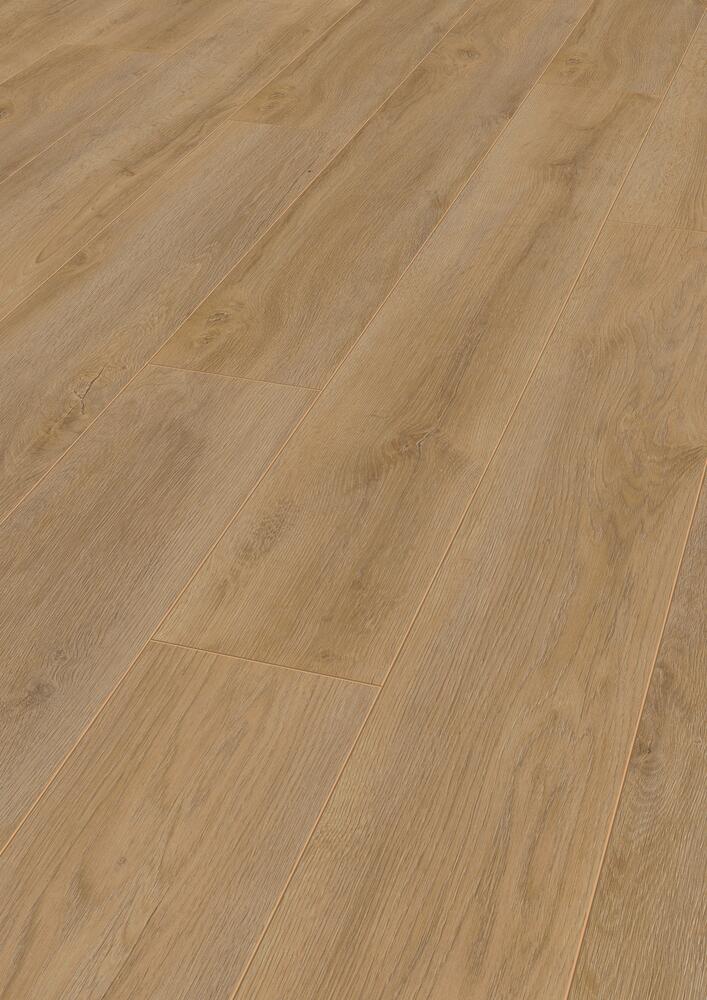 Robusto – Image 12