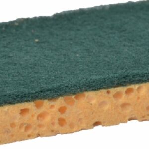 Tampon vert sur éponge 74