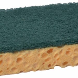 Tampon vert sur éponge 52