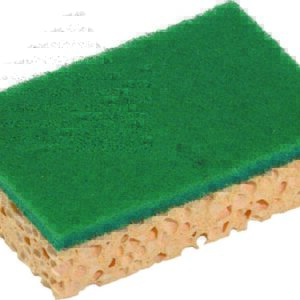 Tampon vert sur éponge Basic
