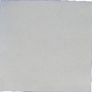 Serviette 1 pli blanche